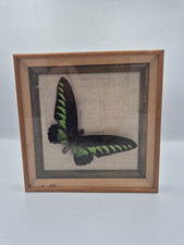 Vintage frames rajah for sale Vintage frames rajah for sale  RUGELEY