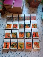 Letteratura italiana carlo usato  Volvera