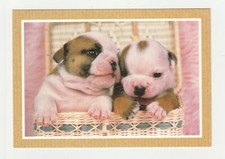 Chiot carte postale d'occasion  Béziers