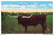 Ashp13 0825 animaux d'occasion  France