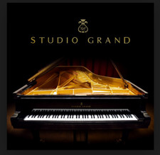 Addictive Keys Studio Grand (SOFTWARE) Lizenz comprar usado  Enviando para Brazil