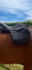 Albion adjusta jump for sale  LARBERT