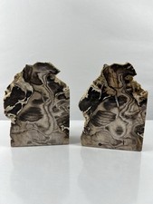 Polished petrified wood for sale  Lutz