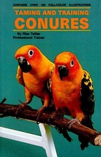 Taming training conures for sale  UK