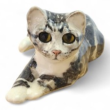 Winstanley size tabby for sale  SEAFORD