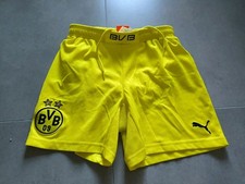 Bvb borussia dortmund gebraucht kaufen  Wetter