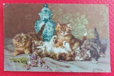 Four fluffy kittens for sale  HOVE
