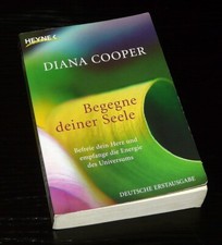 Begegne deiner seele gebraucht kaufen  München