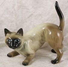 Unbranded siamese cat for sale  CAMELFORD