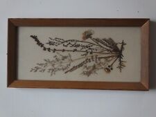 Blütenbild ddr herbarium gebraucht kaufen  Gohrisch, Königstein, Rosenthal-Bielatal