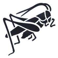 Pochoir sauterelle insecte d'occasion  France
