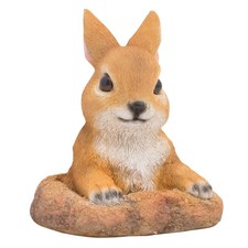 Currious rabbit garden for sale  SHEFFIELD