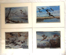 David maass foil for sale  Georgetown