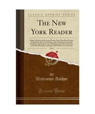 The new york gebraucht kaufen  Trebbin