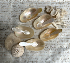 Vintage mother pearl for sale  LEE-ON-THE-SOLENT
