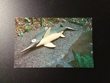 Port orford prehistoric for sale  Centerton