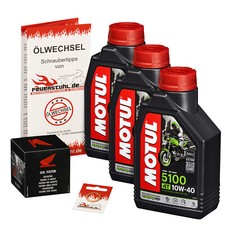 Honda 600 hornet gebraucht kaufen  Gebhardshain