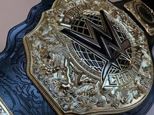 Wwe heavyweight wrestling for sale  READING