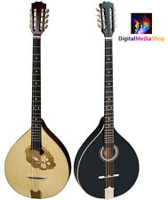 Bouzouki irlandês, madeira maciça, feito por HORA, Romênia comprar usado  Enviando para Brazil
