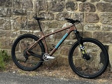 santa cruz chameleon for sale santa cruz chameleon for sale HARROGATE