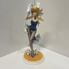 Infinite stratos charlotte for sale  Hamlin