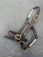 Monty roberts medium for sale  ROCHFORD