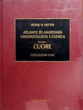 Netter frank atlante usato  Reggello