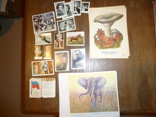 Div sammelbilder 1945 gebraucht kaufen  Rodenberg