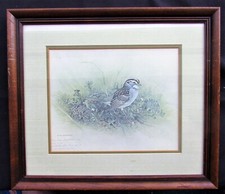 1967 white throated for sale  Jesup