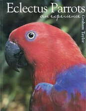 Eclectus parrots experience for sale  Depew
