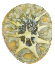 Superbe assiette alain d'occasion  Wormhout