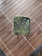 Puppenhaus hocker antik gebraucht kaufen  Altdorf b.Nürnberg