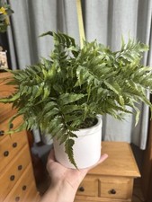Limiar alvo | Planta artificial falsa de samambaia Boston em vaso | 14" x 16", usado comprar usado  Enviando para Brazil