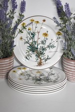 Vintage villeroy boch for sale  SPALDING