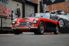 1966 austin healey for sale  Bridgeport