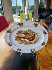 Pheasant game bird for sale  DONAGHADEE