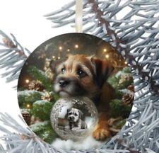 Border terrier dog for sale  WIGAN