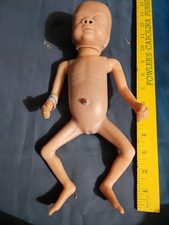 Vtg somso anatomically for sale Vtg somso anatomically for sale  Salem