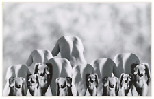 Dutton photomontage tirage d'occasion  Pagny-sur-Moselle