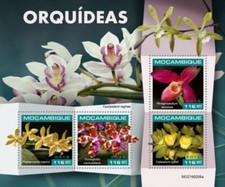 Mozambico fiori orchidea usato  Spedire a Italy