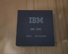 Cpu vintage ibm usato  Santa Flavia
