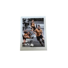 Steve bull wolves for sale  CHRISTCHURCH
