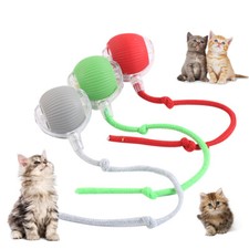 Smart elektrisch katzenspielba gebraucht kaufen  Deutschland