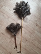 Straußen staubwedel lang gebraucht kaufen  Stuttgart