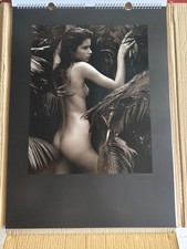 calendario pirelli 2005 usato  Italia