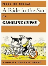 Ride sun gasoline for sale  BRISTOL