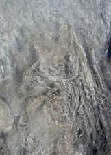 Raw angora goat for sale  Indiana