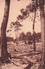 Ile oleron maison d'occasion  France