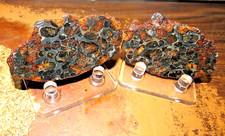 332 sericho pallasite d'occasion  Expédié en Belgium