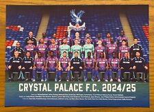 Crystal palace official for sale  UK